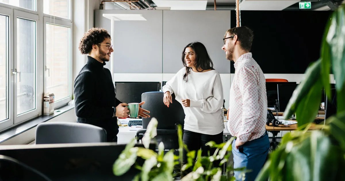 The Arbree Solutions team in conversation
